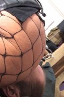 femdom.alphachicks.com image